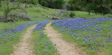 bluebonnet nudist park